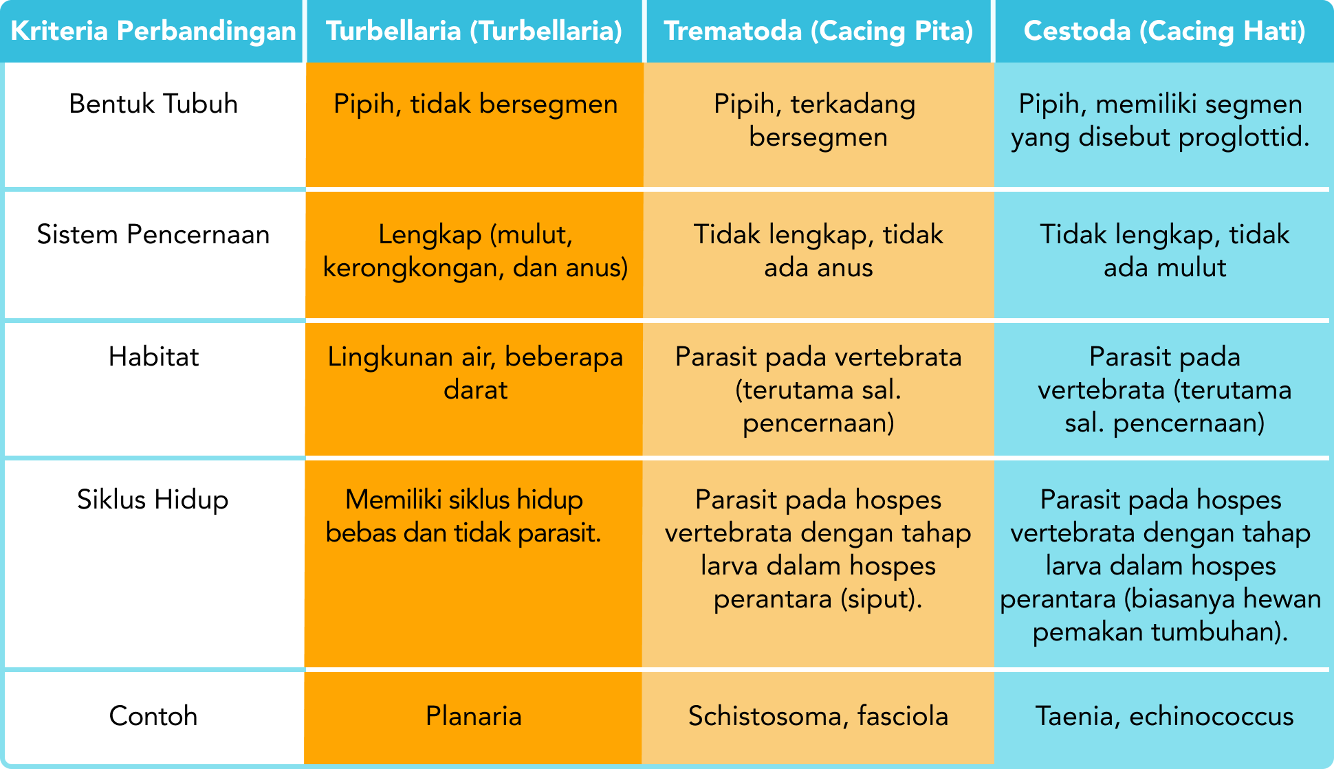Klasifikasi
