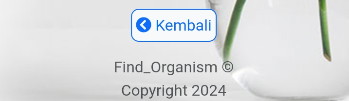 Kembali ke Home