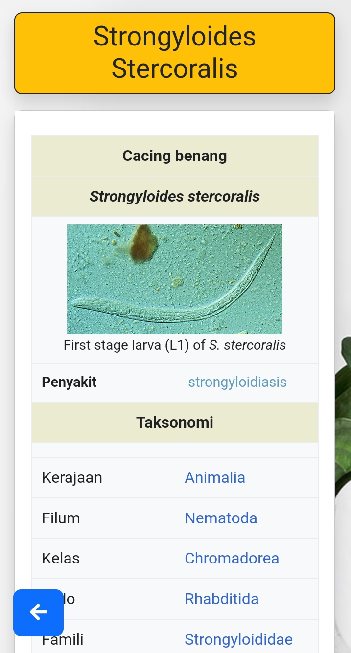 Halaman Spesies